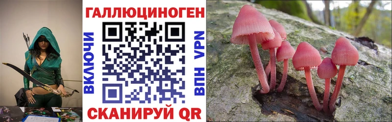 Псилоцибиновые грибы прущие грибы  купить закладку  Нижний Ломов 